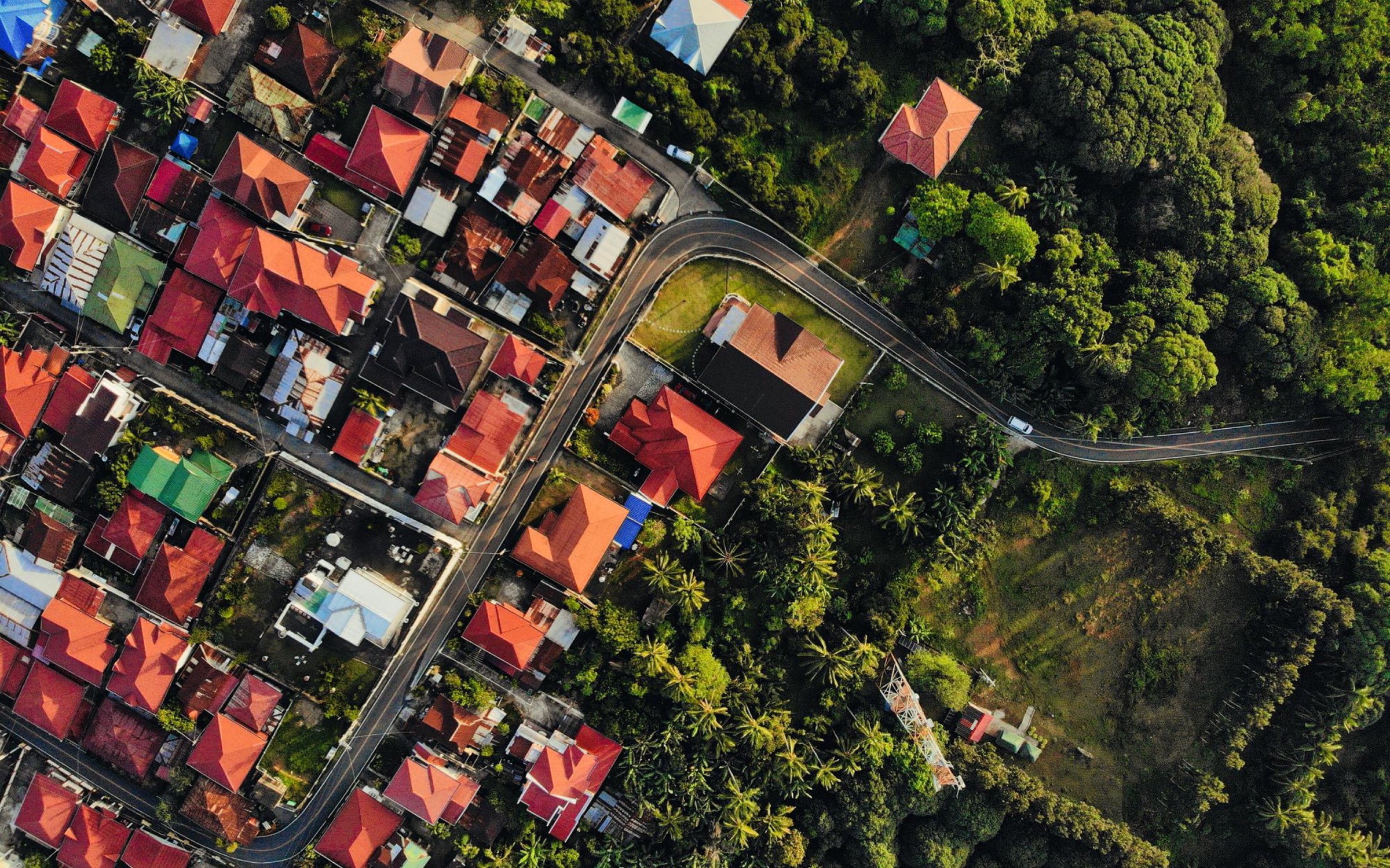 Aerial view of homes along a winding road beside a forest