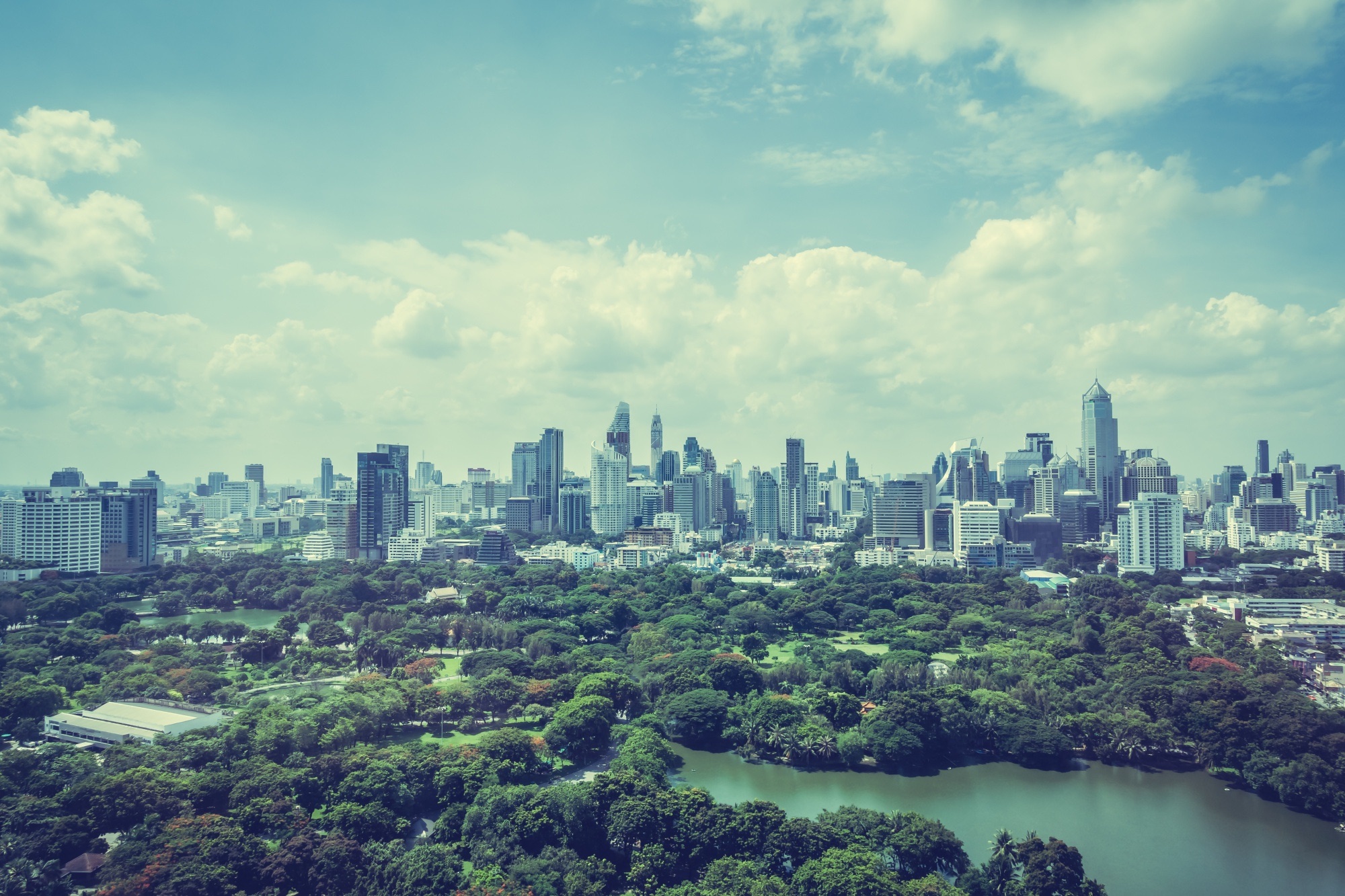City skyline rising above a park